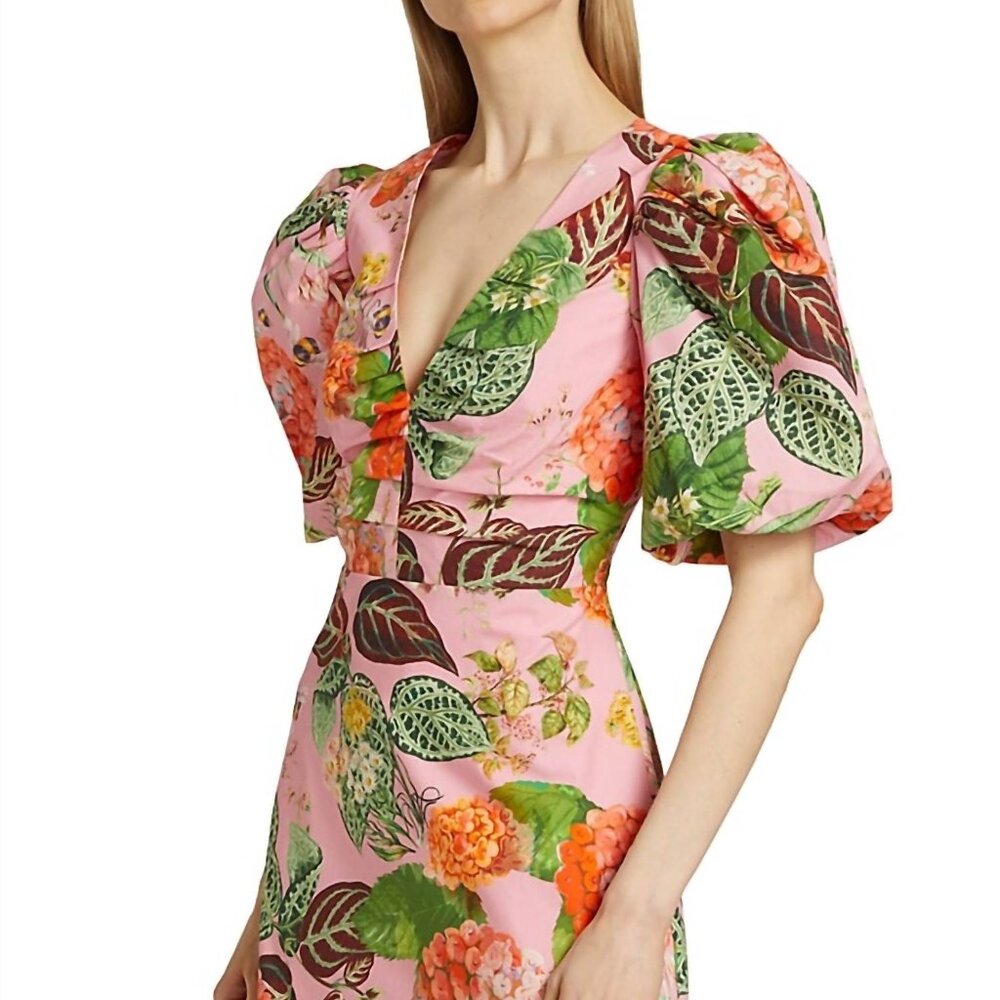 Cara Cara Aliza Dress - Picture 7 of 7